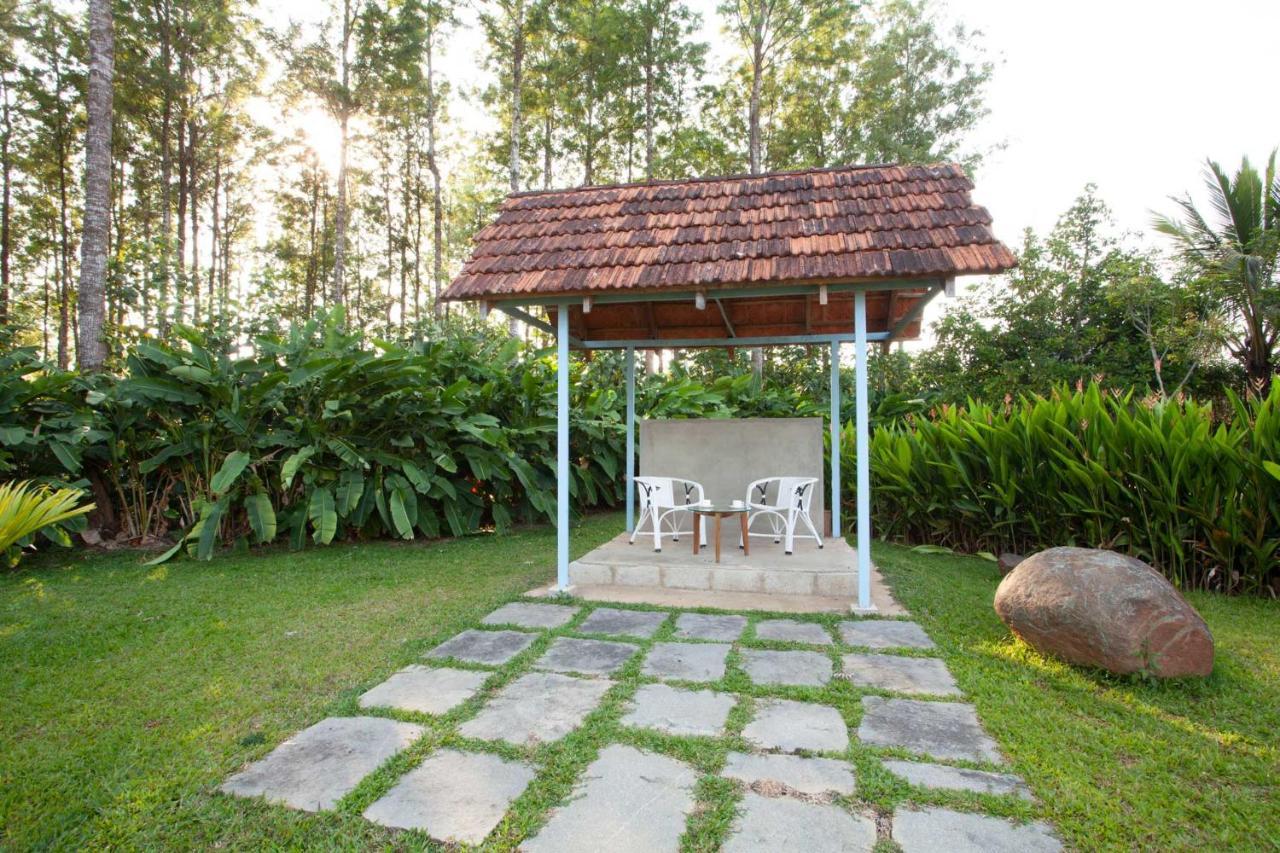 Stayvista At Cedar - Strelitzia 2Bhk With Breakfast And Jacuzzi Chikmagalūr 外观 照片
