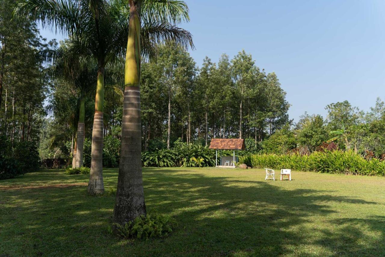 Stayvista At Cedar - Strelitzia 2Bhk With Breakfast And Jacuzzi Chikmagalūr 外观 照片